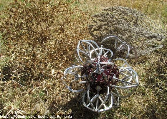 Robotii Romani Dodecarob Jellyfish Si Pirahna Prezentati La Muzeul De Stiinta Din Londra