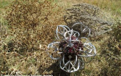 Robotii romani Dodecarob, Jellyfish si Pirahna, prezentati la Muzeul de Stiinta din Londra