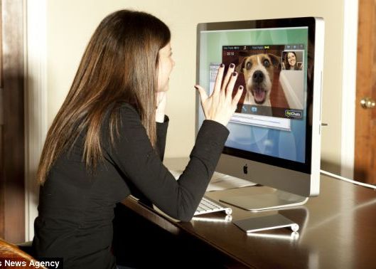 Vorbe Bune Pentru Animalul De Casa Din Orice Punct De Pe Glob Video