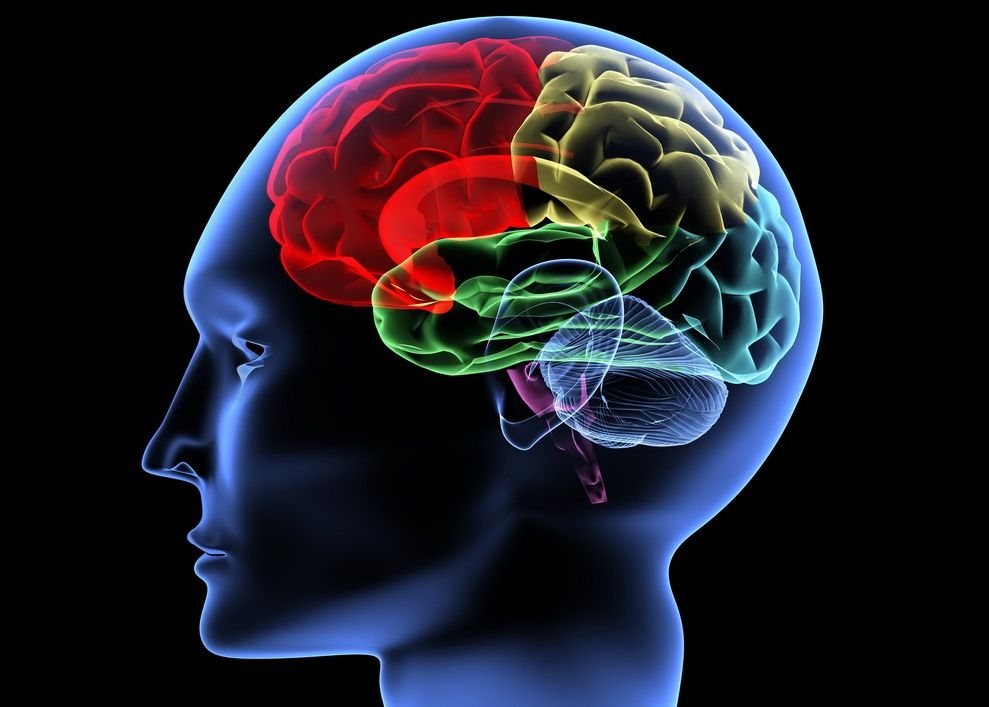 Oamenii De Stiinta Au Inceput Testele Unor Medicamente Care Pot Sterge Parti Din Memoria Umana