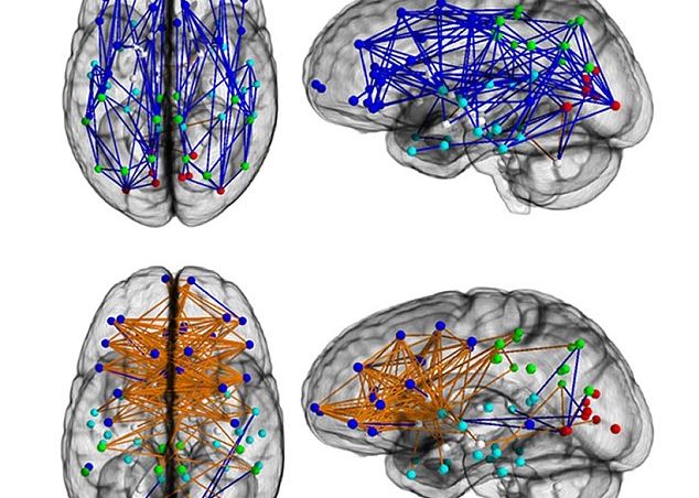 Diferentele Dintre Creierul Unei Barbat Si Cel Al Unei Femei Citirea Unei Harti Este O Treaba Mai Usoara