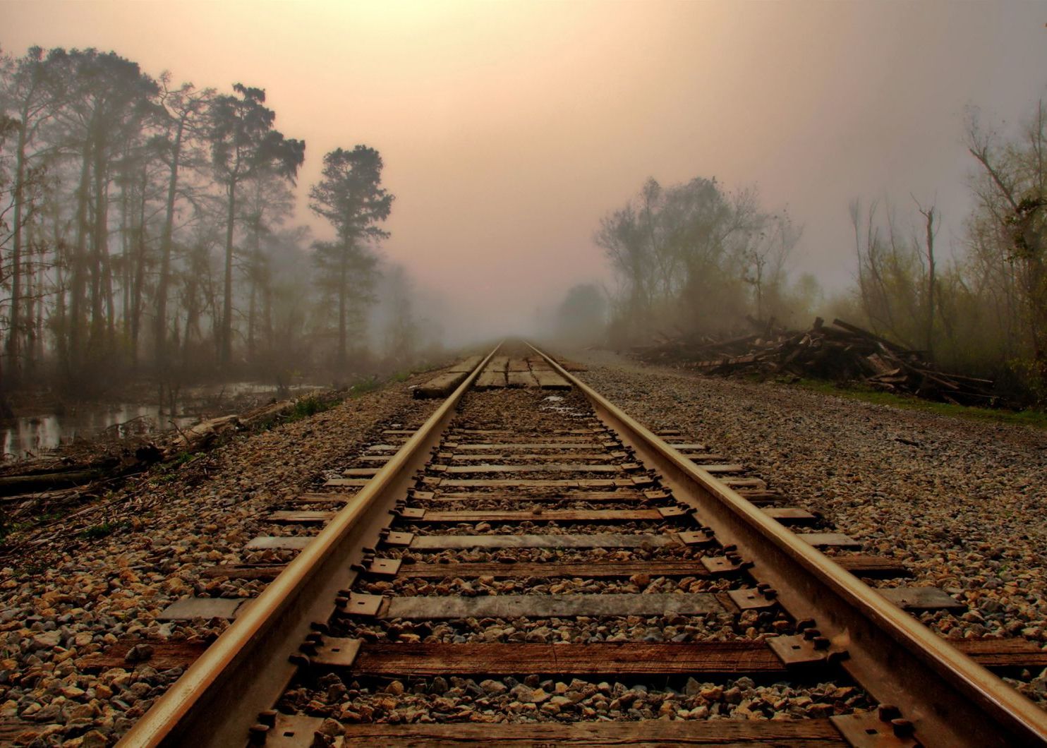 Hyperion Este Cel Mai Performant Tren Fabricat Vreodata In Romania Are Senzori Si Wi Fi Gratuit Merge