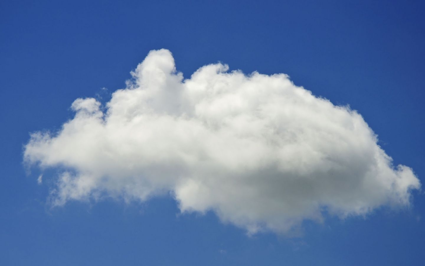 Cum iti recuperezi datele daca ti se fura telefonul sau iti pica hard diskul Cum Iti Recuperezi Datele Daca Ti Se Fura Telefonul Sau Iti Pica Hard Diskul