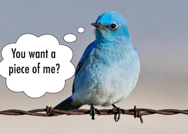 Cel Mai Tare Mesaj Postat Pe Twitter Din 2013 A Emotionat 400 000 De Oameni