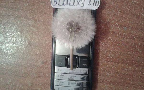 Poza Asta A Devenit Virala Cum Si A Confectionat Un Samsung Siii
