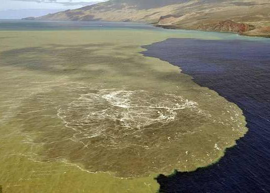 O Noua Insula In Arhipelagul Canare Recentele Cutremure Ar Semnala O Eruptie Vulcanica Submarina