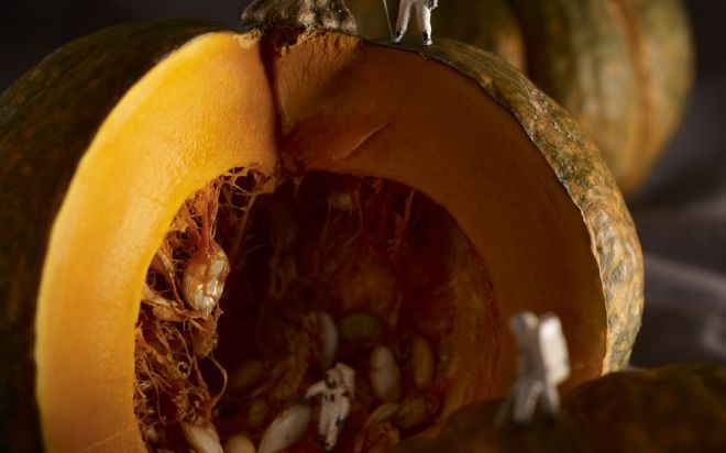 Stafide umflate cu pompa ca sa devina struguri. Cele mai tari poze cu mancare facute vreodata GALERIE FOTO Teatrul Din Farfurie Cele Mai Tari Poze Cu Mancare Facute Vreodata Galerie Foto