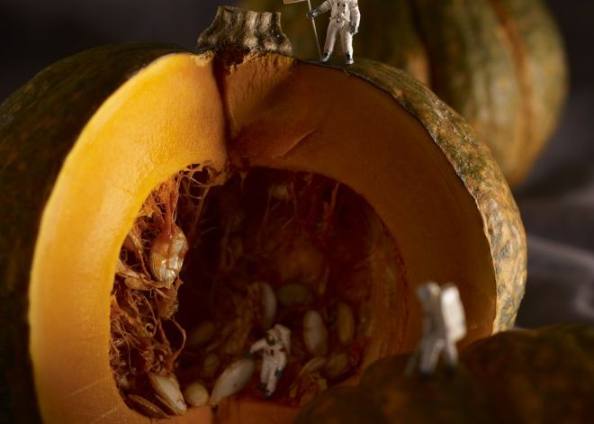 Stafide umflate cu pompa ca sa devina struguri. Cele mai tari poze cu mancare facute vreodata GALERIE FOTO Teatrul Din Farfurie Cele Mai Tari Poze Cu Mancare Facute Vreodata Galerie Foto