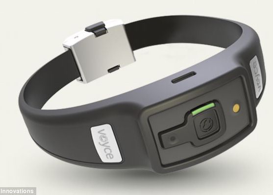 Cateii, mai bine supravegheati de o zgarda high tech. VIDEO Cateii Mai Bine Supravegheati De O Zgarda Hi Tech Video