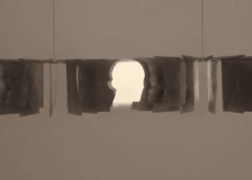 Iluzia Optica Inteligenta Care Iti Da Fiori Cum A Fost Creata O Fantoma Video