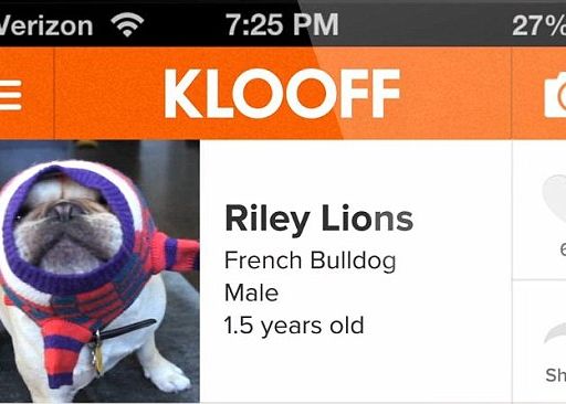 Klooff Reteaua De Socializare Pentru Animale