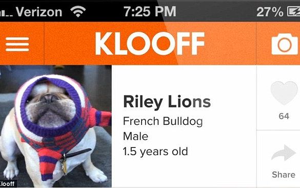 Klooff Reteaua De Socializare Pentru Animale