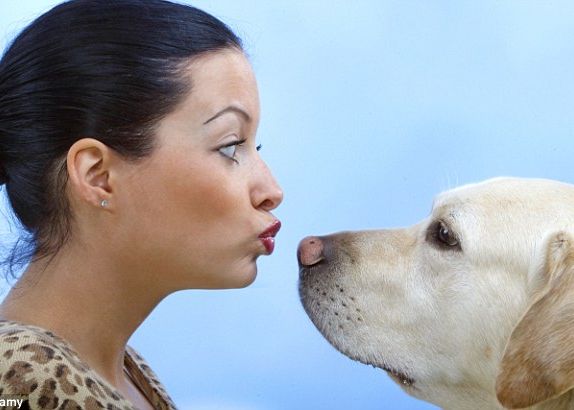 Cainii Seamana Cu Adevarat Cu Oamenii Afectiunea Vine Din Aceeasi Zona A Creierului Ca In Cazul Oamenilor