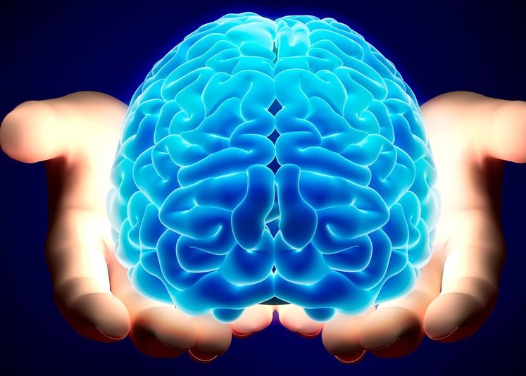 S A Gasit Zona Din Creier Responsabila Pentru Deciziile Mai Putin Inspirate