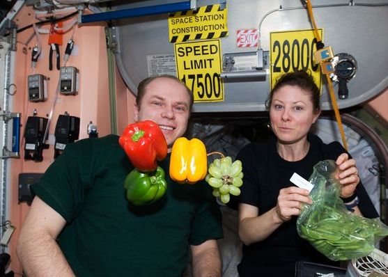 Ziua Recoltei In Spatiu Primele Legume Si Fructe Crescute Pe Statia Spatiala Internationala