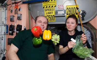 Ziua Recoltei in spatiu. Primele legume si fructe crescute pe Statia Spatiala Internationala