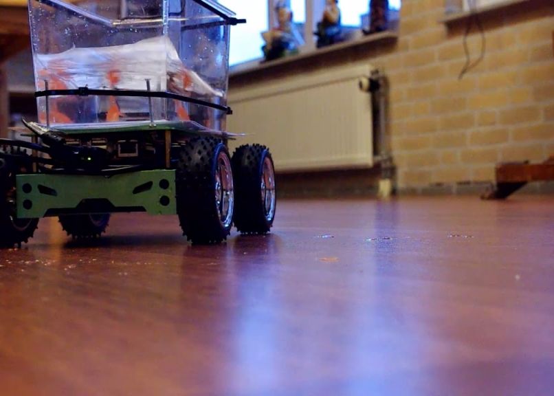 Primul Peste Care Conduce O Masina Ii Spune Incotro Sa Mearga In Functie De Cum Inoata Video