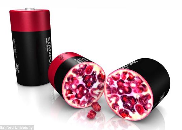 Rodia Sursa De Inspiratie Pentru O Noua Generatie De Baterii Pentru Telefon