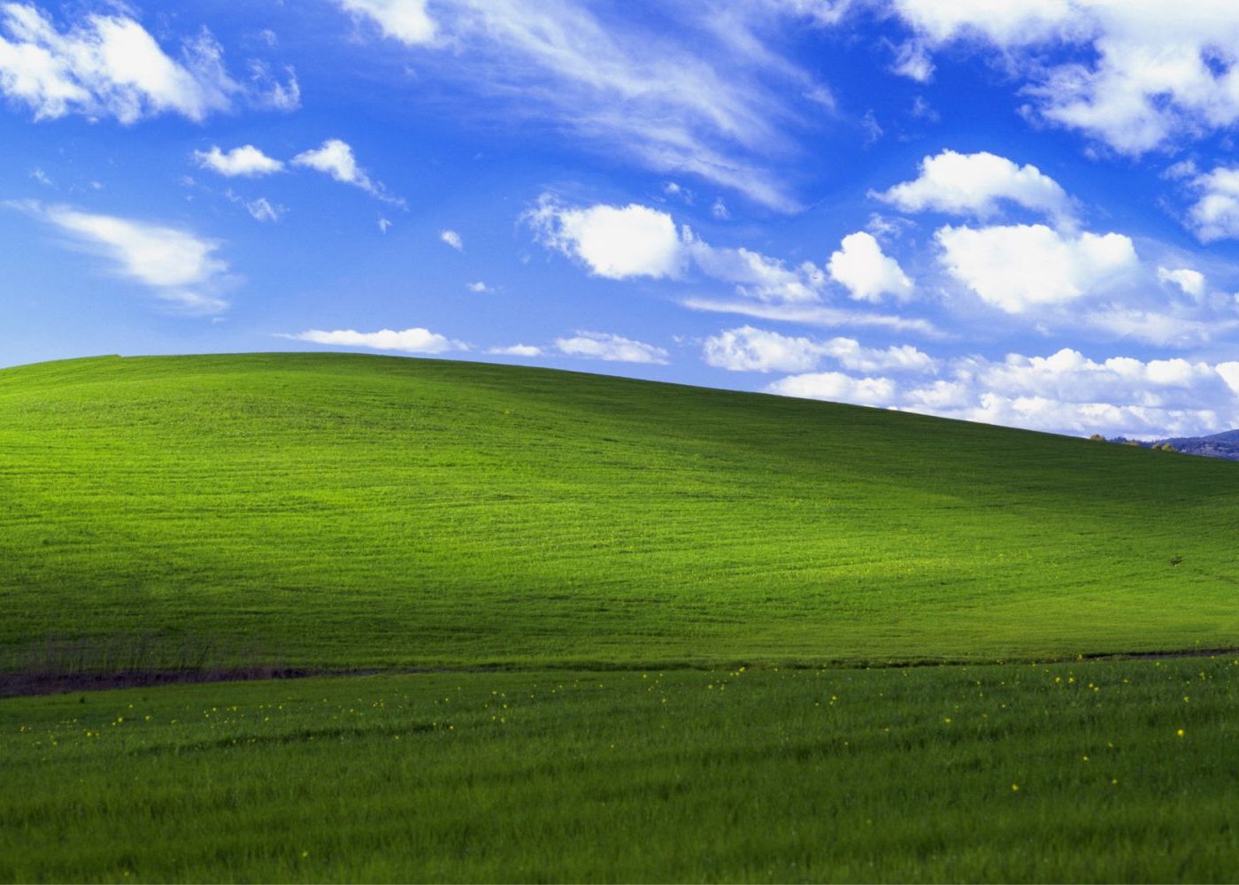Windows XP mai poate fi folosit in siguranta o luna. Ce vor vedea apoi utilizatorii pe ecran Windows Xp Mai Poate Fi Folosit O Luna In Siguranta Ce Vor Vedea Apoi Utilizatorii Pe Ecran