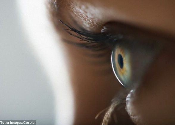 Poti afla daca ai nevoie de ochelari cu ajutorul telefonului mobil Examenul Ocular Se Poate Face Acum Si Cu Un Dipozitiv Asatasabil Smartphone Ului