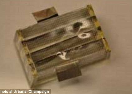 Chipul Biodegradabil Care Monitorizeaza Semnele Vitale Ale Omului Inainte De A Se Dezintegra