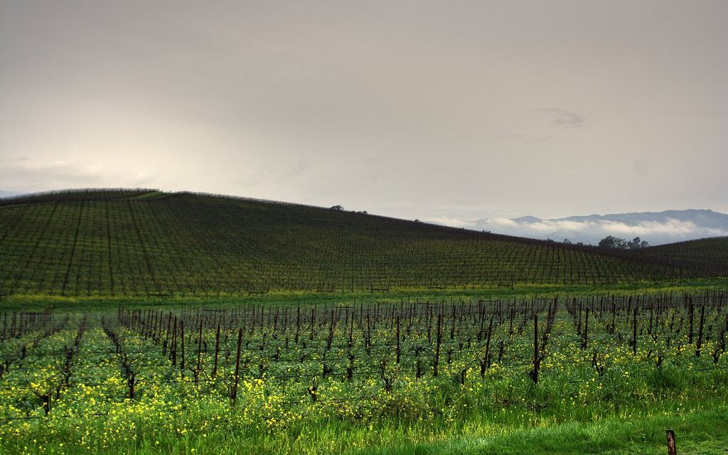 Cum arata astazi locul unde s-a realizat cel mai cunoscut wallpaper din lume, pentru Windows XP Cum Arata Astazi Locul Unde S A Realizat Cel Mai Cunoscut Wallpaper Din Lume Pentru Windows Xp