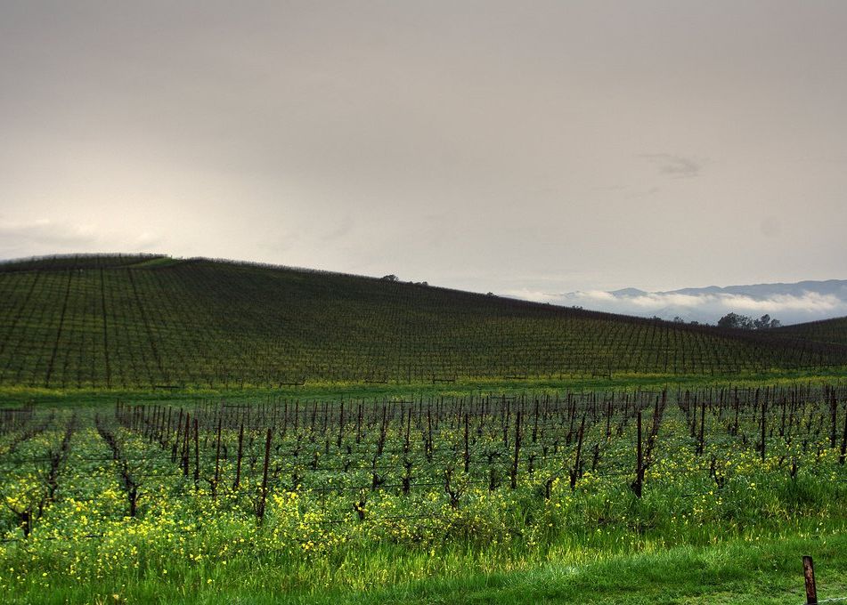 Cum arata astazi locul unde s-a realizat cel mai cunoscut wallpaper din lume, pentru Windows XP Cum Arata Astazi Locul Unde S A Realizat Cel Mai Cunoscut Wallpaper Din Lume Pentru Windows Xp