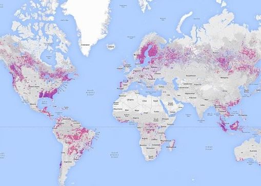 Hartile Google Ajuta Aproape In Timp Real La Descoperirea Zonelor In Care In Care Se Produce O Despadurire