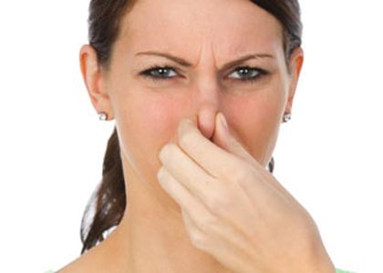 Care Sunt Compusii Chimici Care Se Afla In Spatele Mirosurilor