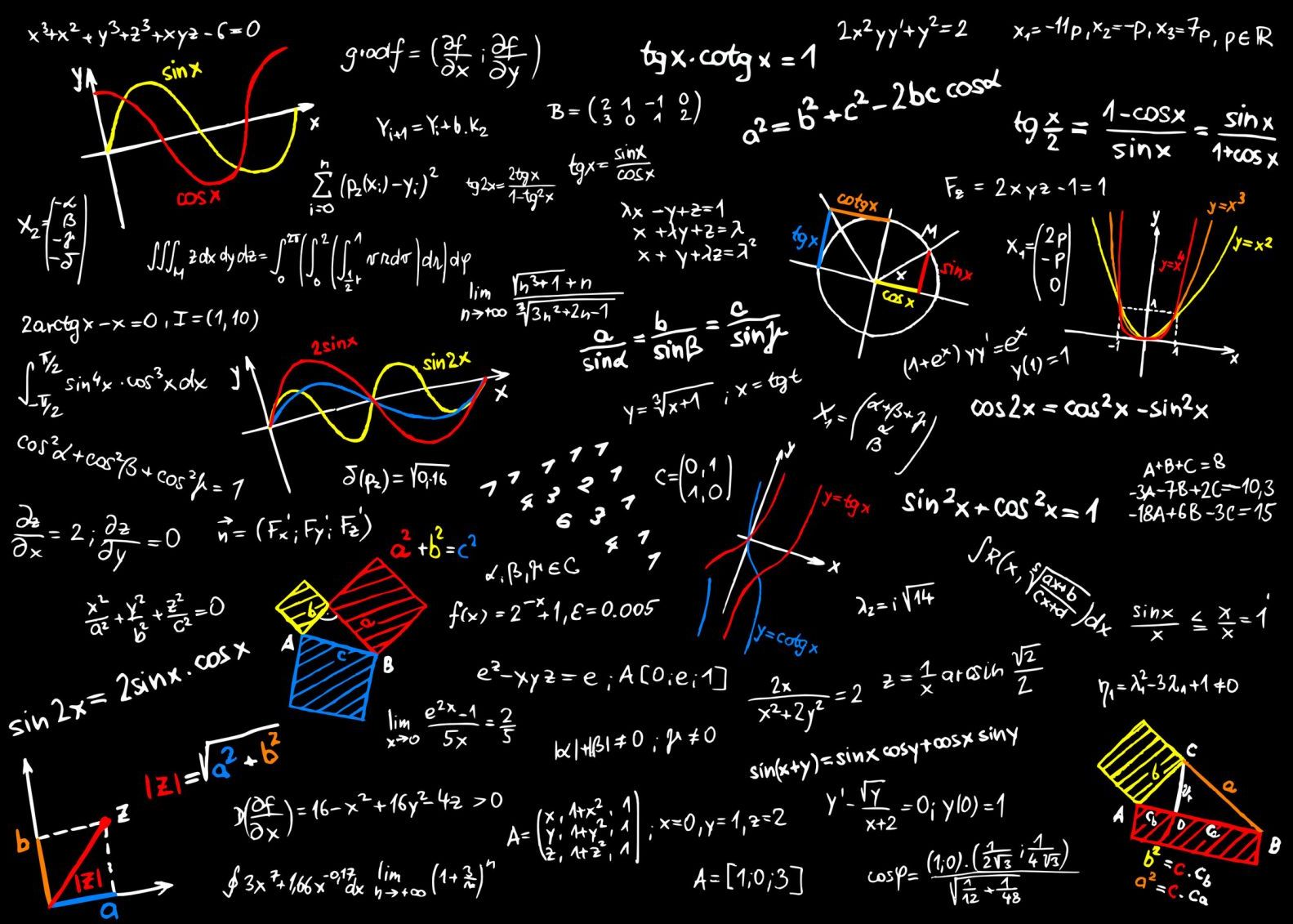 Ilikeit Matematica Cu Gust De Miere Interviu Cu Profu Online Profesorul Pasionat De Albine Care Preda