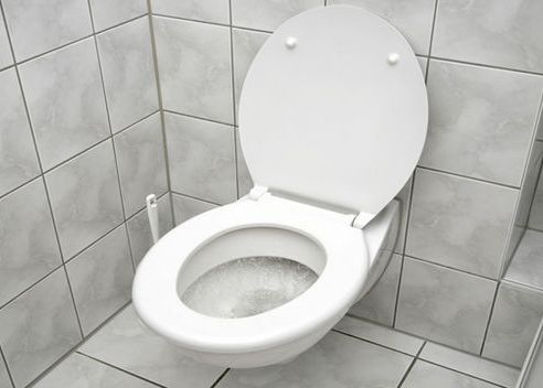 Oamenii de stiinta vor sa transforme trasul apei la toaleta in curent electric Oamenii De Stiinta Vor Sa Transforme Trasul Apei La Toaleta In Curent Electric 1