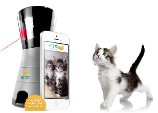 Kittyo, dispozitivul cu ajutorul caruia pisica ta nu-ti va simti lipsa VIDEO Kittyo Dispozitivul Cu Ajutorul Caruia Pisica Ta Nu Ti Va Simti Lipsa Video