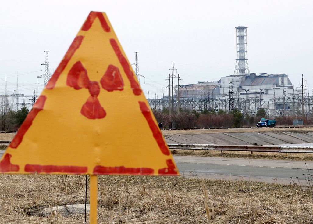 Pasarile Din Aria Centralei Nucleare De La Chernobyl S Au Adaptat Radiatiilor