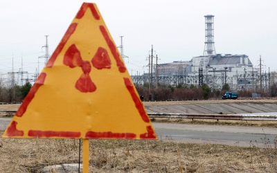 Pasarile din aria centralei nucleare de la Cernobil s-au adaptat radiatiilor