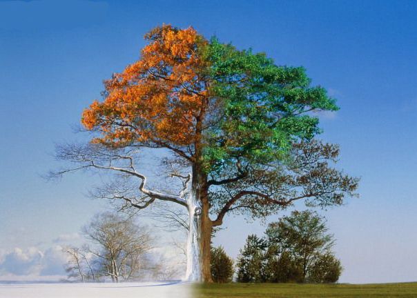 10 Minciuni Pe Care Toata Viata Le Ai Crezut Adevarate