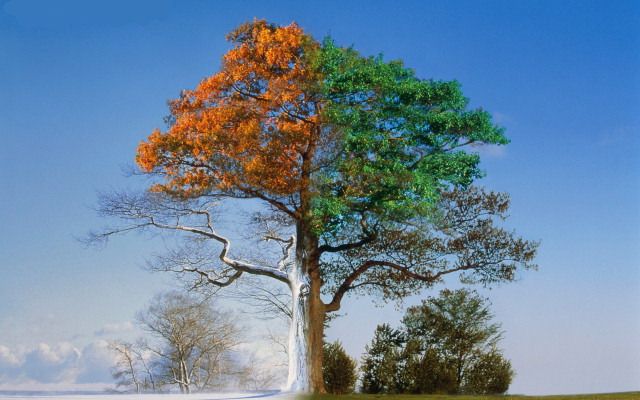 10 Minciuni Pe Care Toata Viata Le Ai Crezut Adevarate