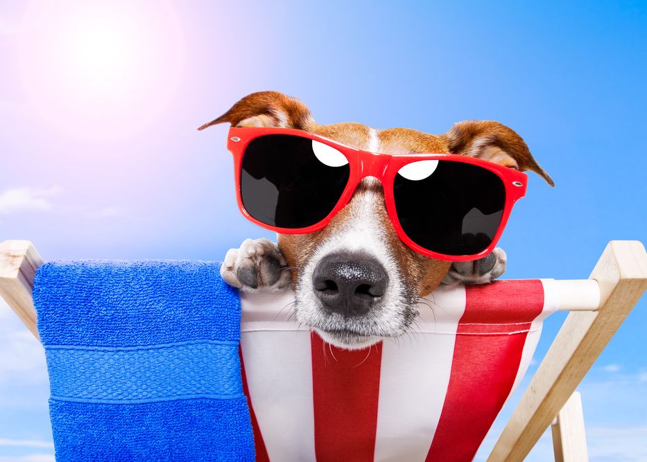 iLikeIT. Nu va bazati doar pe agentii! Sfaturi si site-uri pentru cei care doresc sa-si planifice o vacanta reusita. VIDEO Ilikeit Nu Va Bazati Doar Pe Agentii Sfaturi Si Site Uri Pentru Cei Care Doresc Sa Si Planifice O Vacanta