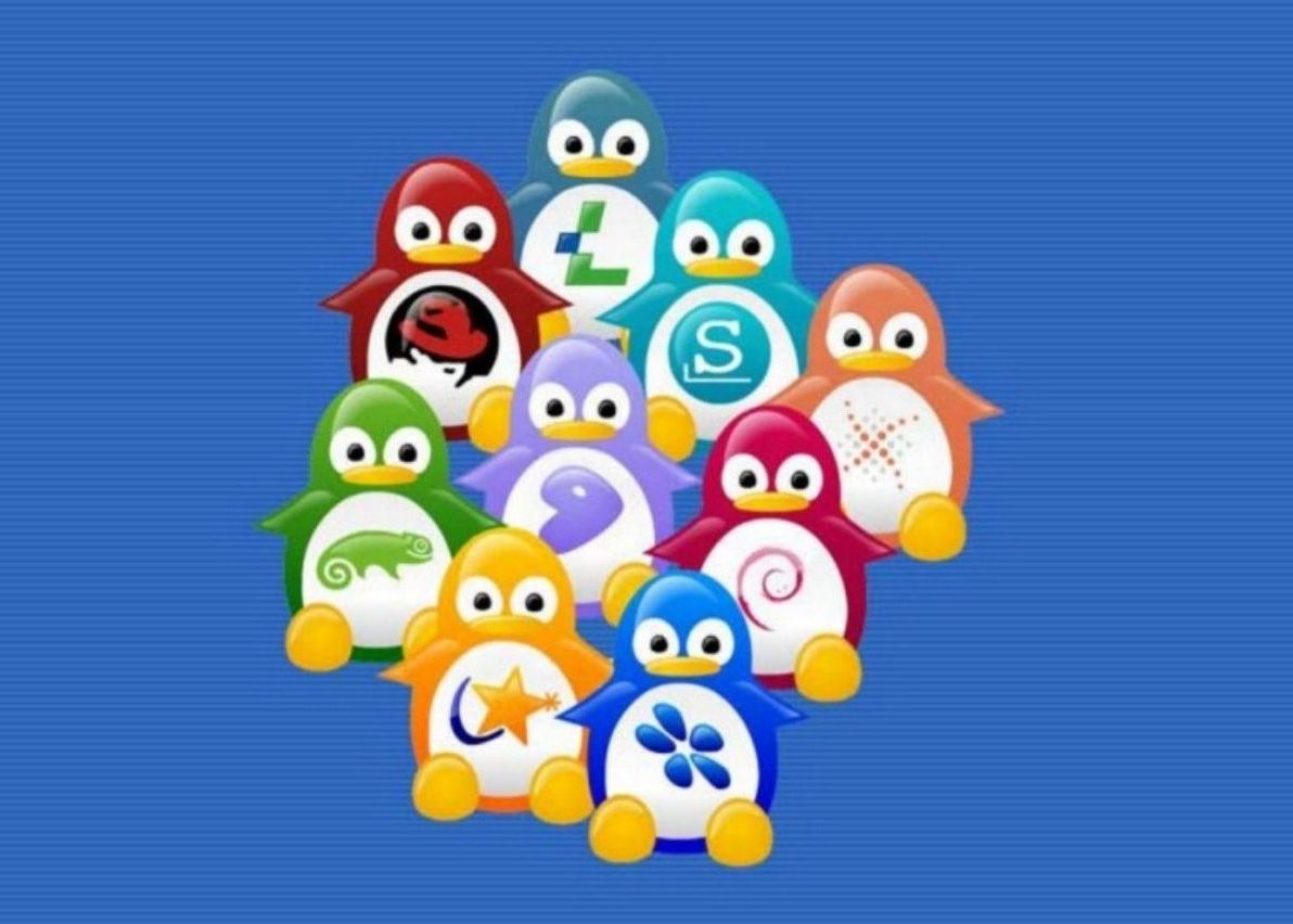 Linux Com Romanca Teodora Baluta A Gasit O Metoda Pentru Curatarea Linuxului De Erori 1