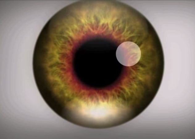 Videoclipul Care Iti Va Crea Halucinatii Timp De Cateva Secunde Ce Se Intampla Daca Citesti Fiecare Litera