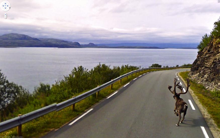 20 Imagini Surprinzatoare Google Street View Masina E Acum In Romania