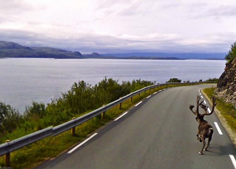 20+ imagini surprinzatoare Google Street View din lume 20 Imagini Surprinzatoare Google Street View Masina E Acum In Romania