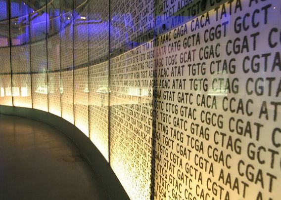 De Cati Gb Ai Nevoie Ca Sa Creezi Un Om