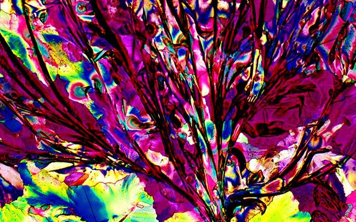 Martini sec Cum Arata De Fapt Berea Imagini Superbe Cu Bauturi Alcoolice La Microscop