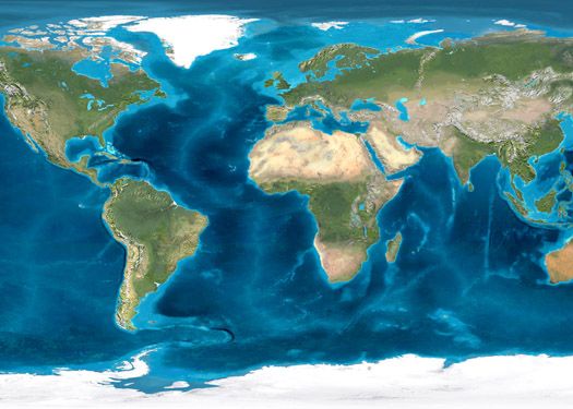 Avertismentul oamenilor de stiinta. Pe Pamant a inceput cea de-a sasea extinctie in masa Avertismentul Oamenilor De Stiinta Pe Pamant A Inceput Cea De A Sasea Extinctie In Masa