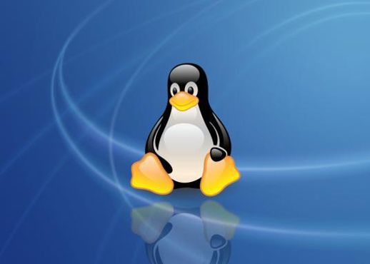 Cum Arata Biroul Inventarului Linux Acasa La Linus Torvalds