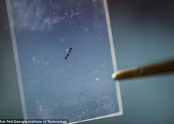 Cum Va Putea Arata Primul Incarcator Mobil Telefonul Tau Se Va Incarca In Timp Ce Il Tii In Buzunar