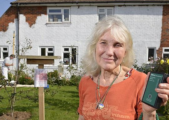 O Bunicuta A Platit 6 000 Ca Sa Blocheze Intrarea Semnalelor Wi Fi In Casa Ei