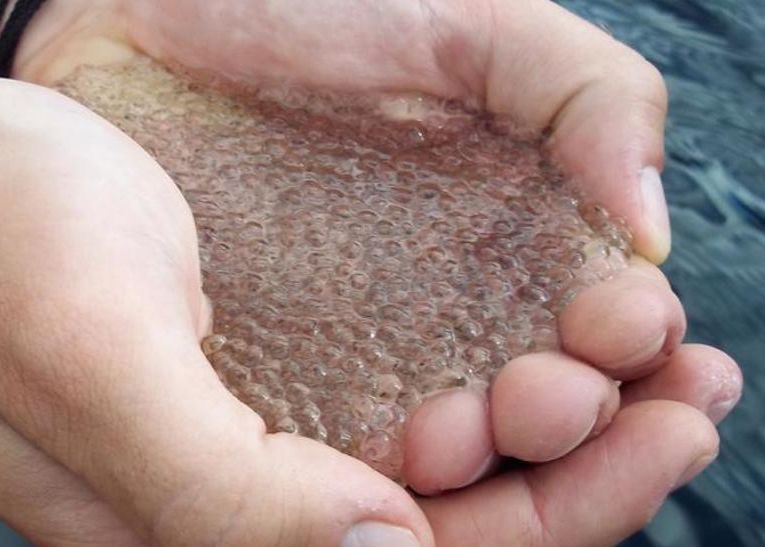 Ce S A Intamplat Cu Apa Din Lacuri Din Cauza Ploilor Acide Imagini Incredibile