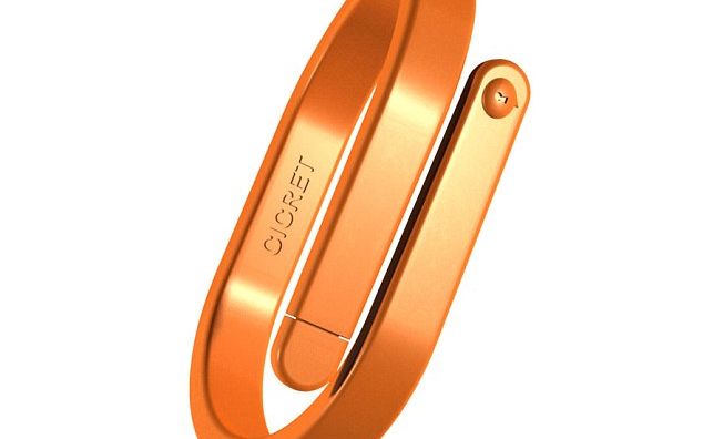 Bratara Hi Tech Ce Va Rivaliza Cu Ceasurile Apple Orice Om Isi Poate Transforma Bratul In Touchscreen