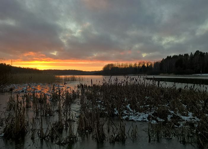 Ai Acest Telefon Tocmai A Fost Lansata O Aplicatie Care Iti Va Schimba Radical Camera Smartphone Ului